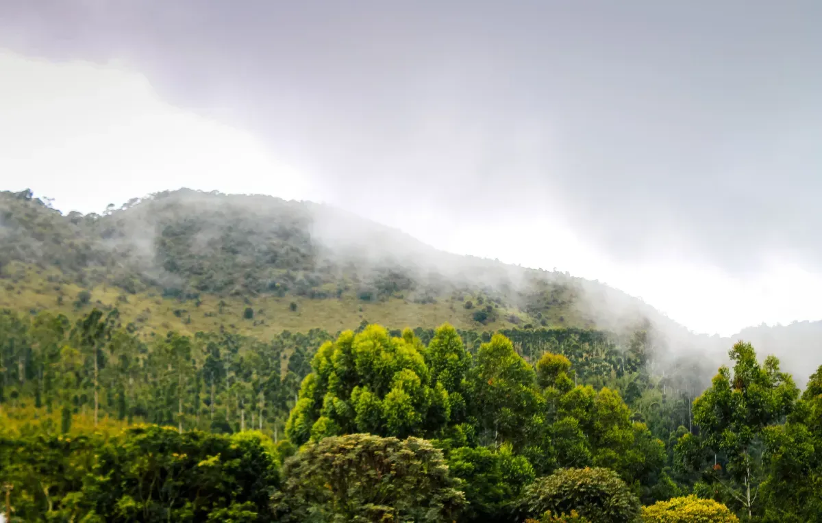 Imagem da galeria de Poços de Caldas